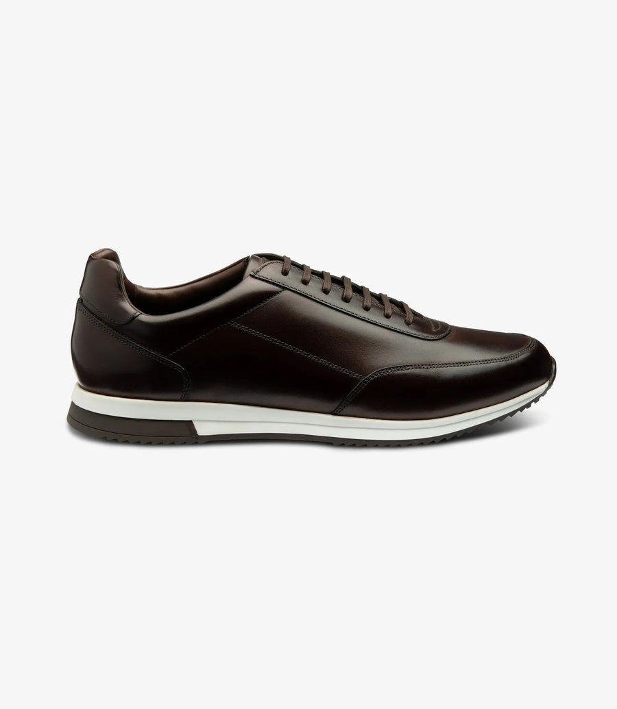 Bannister Dark Brown  Ancho: F  / Goma