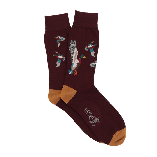 Calcetin Corgi 75% algodón delgado diseño Patos volando fondo Burdeo M