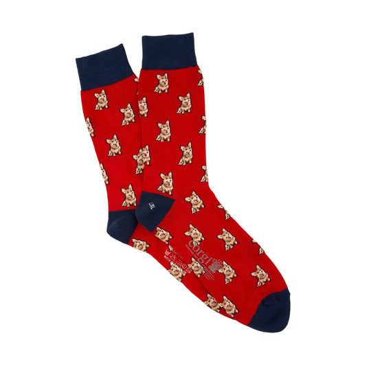 Calcetin Corgi 75% algodón delgado diseño Corgi sobre rojo borde Azul M