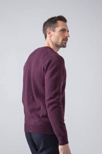 Sweater V 100% lambswool Black Grape / en Stock Johnstons